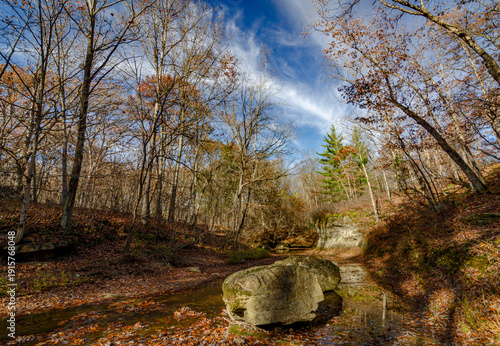 554-50 Piney Creek Auutumn