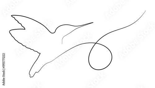 Hummingbird continuous line art. Tropical bird with long beak and wings. Colibri. Animal sketch, lively line drawing. Unusual signature with swirl. Isolated object. Birdie. Vector illustration.