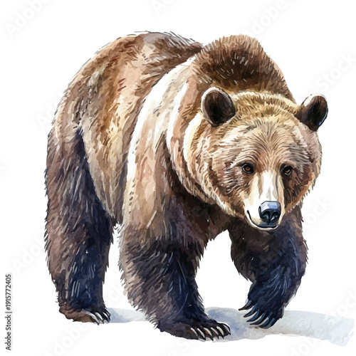 Bear A Beautifully Detailed, watercolor painting capturing graceful lines and soft blended shades, isolated on a white background.