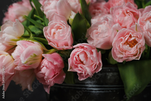 Fotografía A horizontal spring composition showcasing lush pink double tulips (Tulipa gesneriana) arranged in a rustic dark metal vase