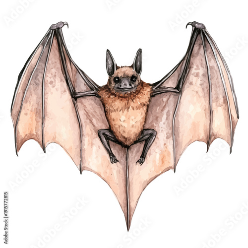 Bat A Beautifully Detailed, watercolor painting capturing graceful lines and soft blended shades, isolated on a white background.