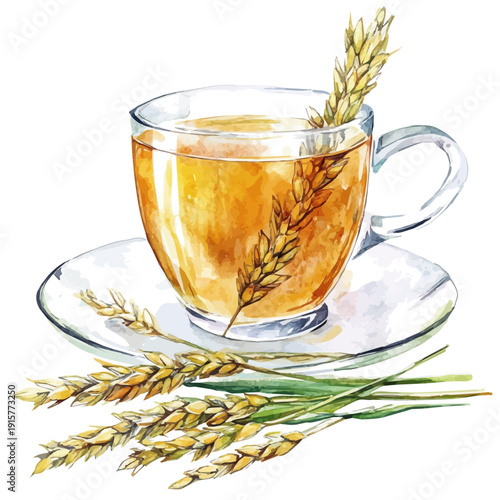 Barley Tea Mugicha A Beautifully Detailed, watercolor painting capturing graceful lines and soft blended shades, isolated on a white background.