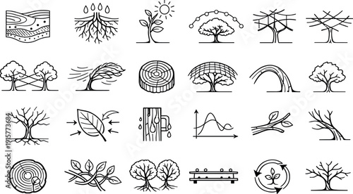 Line vector icons of eco-driven simulated arboreal development: soil-nutrient maps, moisture-response roots, sun-tracking shoots,