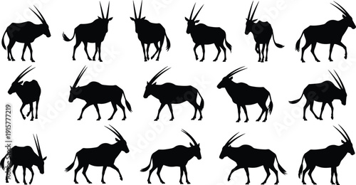 Oryx Antelope Silhouette Set in Various Walking and Standing Poses Isolated on White Background, African Wildlife Animal Vector Collection