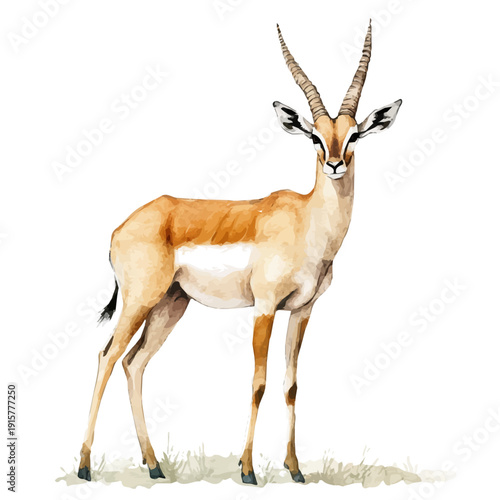 Antelope A Beautifully Detailed, watercolor vector portraying a joyful pose with colorful highlights, isolated on a white background.