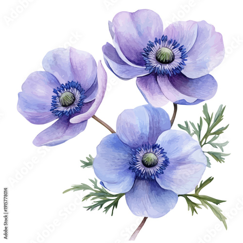 Anemone Branch A Beautifully Detailed, watercolor painting capturing graceful lines and soft blended shades, isolated on a white background.
