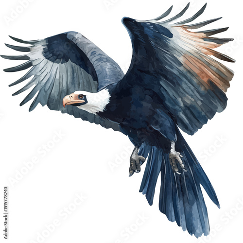 Andean Condor A Beautifully Detailed, watercolor illustration featuring playful movement and lively expressions, isolated on a white background.