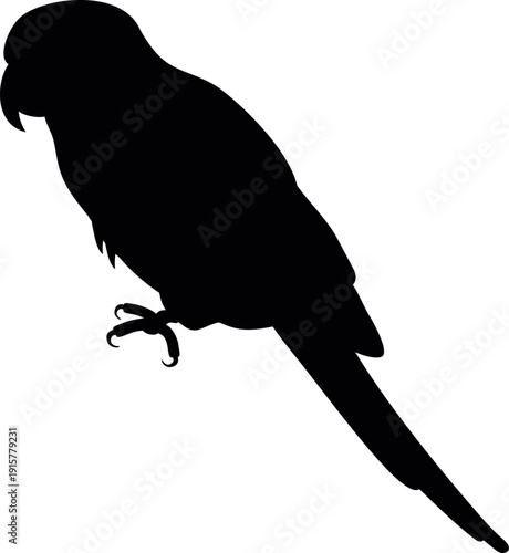 Exotic bird icon. Tropical parrot black silhouette