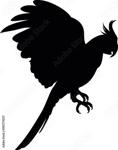 Amazon parrot black icon. Wild bird silhouette