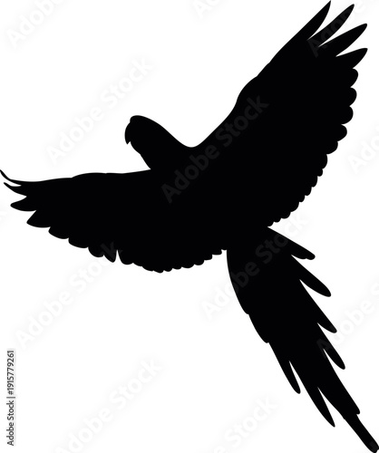 Wild bird flying. Black jungle parrot silhouette