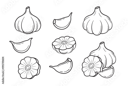 Hand drawn garlic collection featuring whole bulbs, individual cloves, and cross sections. Clean black ink line art on a white background, minimal engraving style, perfect for cooking graphics.