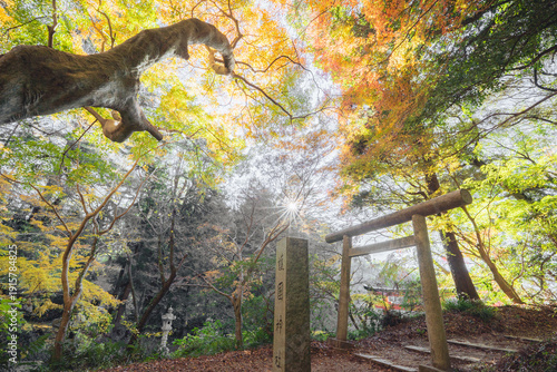 香取護国神社 鳥居と紅葉に包まれる秋の光景