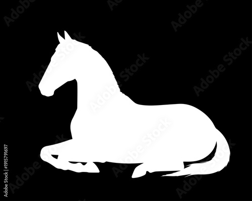 Horse silhouette, side view. Isolated white flat element of lying horse on black background. Vector icon, logo, illustration.
