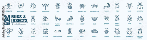 Insect Line Icons Set — Bug Outline Vector Collection, Editable Stroke Pest Control Symbols