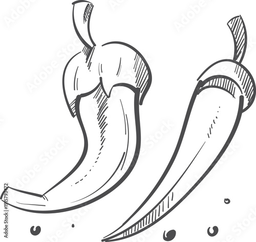 Hot pepper drawing. Spicy cooking food doodle