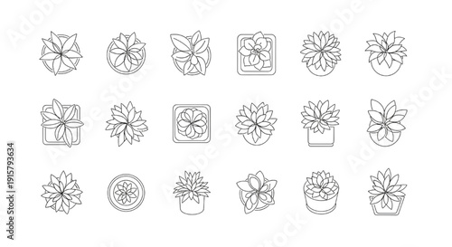 Vector Set of Minimalist Top View Potted Plant Outlines for Architectural Floor Plans