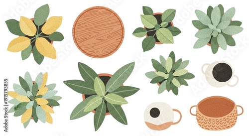 Boho Style Vector Top View House Plants Set with Grain Texture