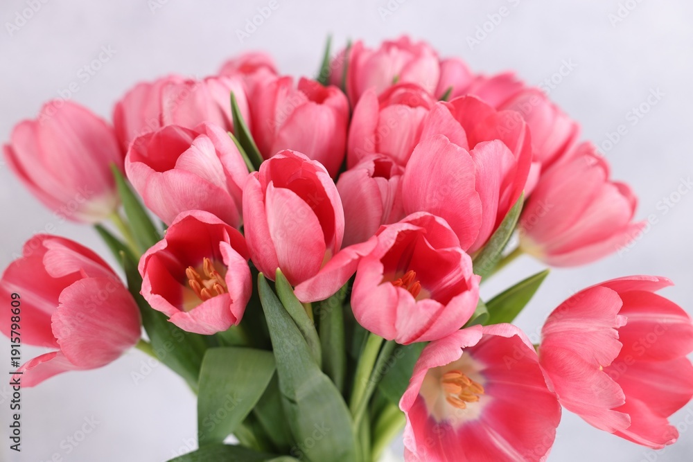 Obraz premium Bouquet of pink tulips on blurred grey background, closeup
