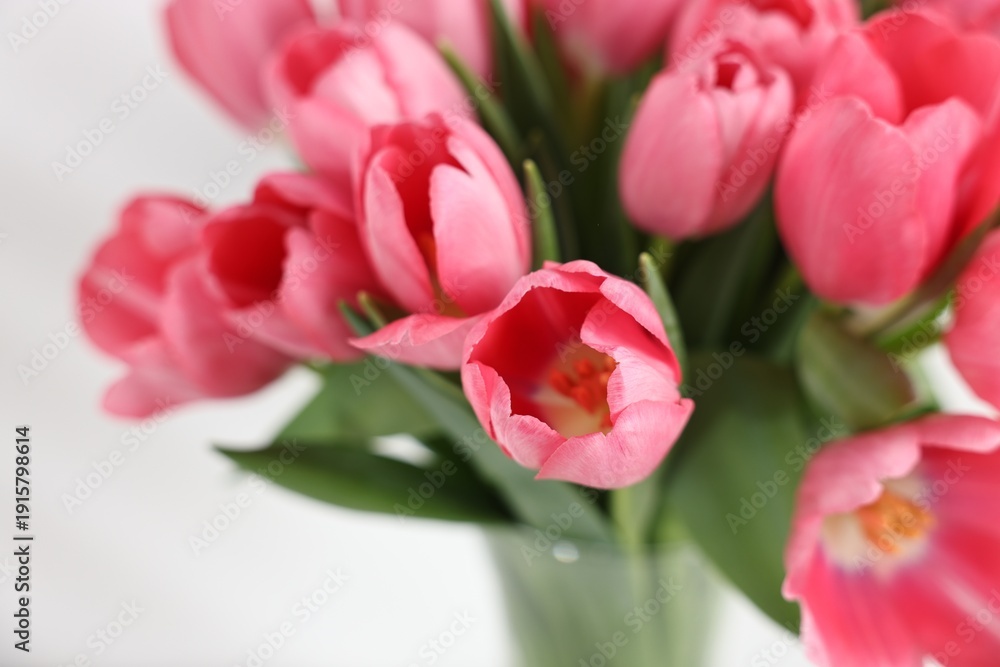 Obraz premium Bouquet of pink tulips on blurred grey background, closeup