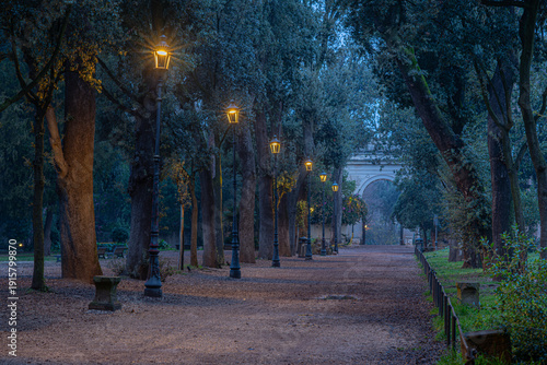 Fila di lampioni accesi nel parco all'alba