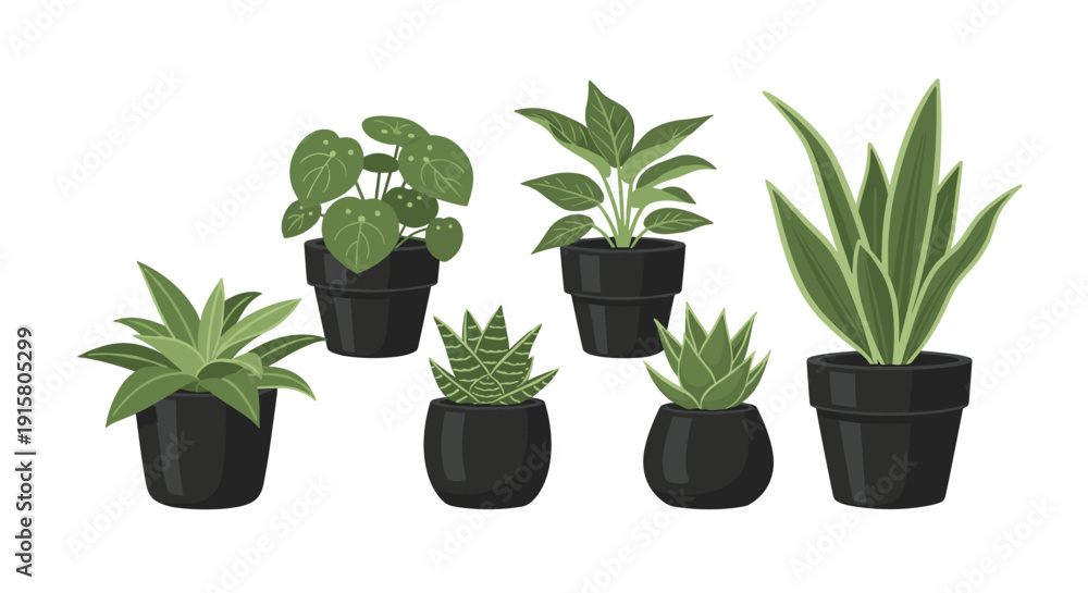 Fototapeta premium Seven distinct potted houseplants with diverse green foliage are casually arranged on a white background.