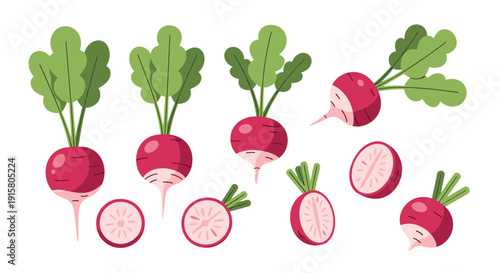Various fresh red radishes with green leaves displayed, including whole and cross-section slices on a clean white background.