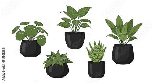 Five diverse green houseplants in black pots, arranged neatly on a white background, offering a natural decorative element.