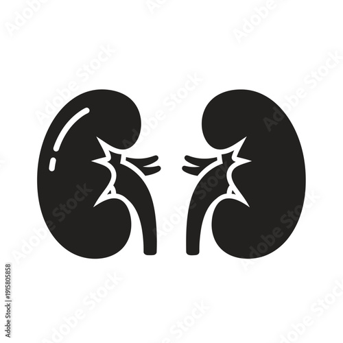 Black Silhouette of Human Kidneys Medical Organ Icon.