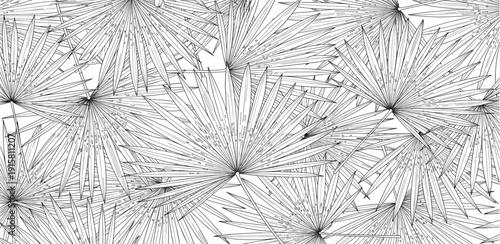 Intricate black and white illustration of floral patterns in a repeating geometric design viewed from directly above