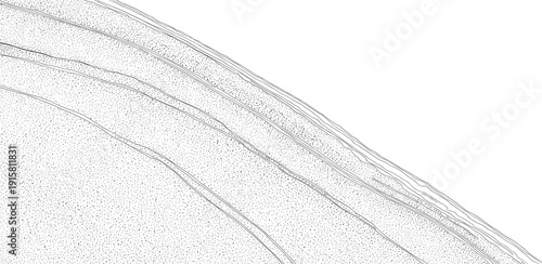 A close-up view of a gray arched texture with layered patterns and subtle shading details