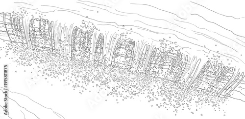 Dotted line illustration of trees and foliage from an aerial viewpoint