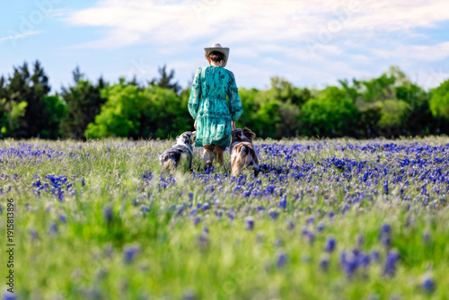 Φωτογραφία woman cowgirl walking with dogs in Texas bluebonnet field