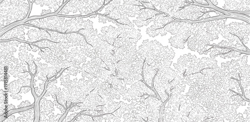 Aerial view of intricate river network with branching tributaries in a landscape