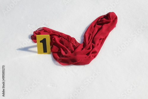 Red Scarf and Crime Scene Marker in Snow