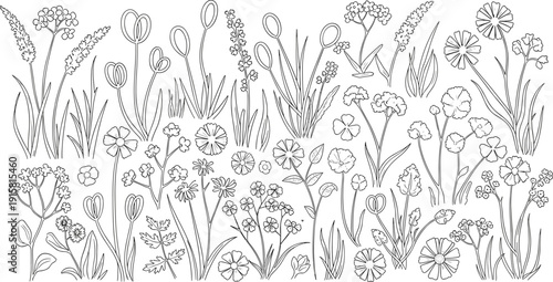 Illustration of a serene meadow landscape with diverse flora and fauna viewed from a gentle perspective