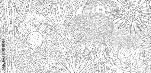 Detailed illustration of various desert plants and flowers in a serene landscape viewed from above.