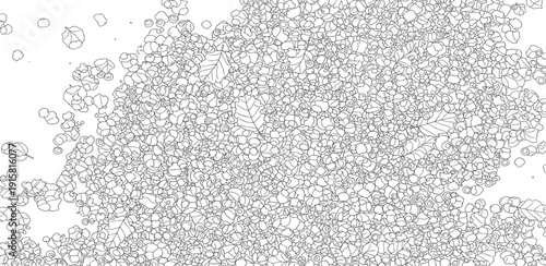 A close-up view of a cluster of small flowers and leaves scattered across the frame