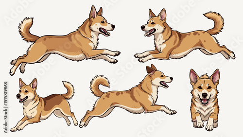 Vector Illustration of Cute Shiba Inu Dog Running and Jumping, Dynamic Poses of Tan Japanese Breed Puppy in Motion, Happy Pet Character for Animation or Game Sprite.