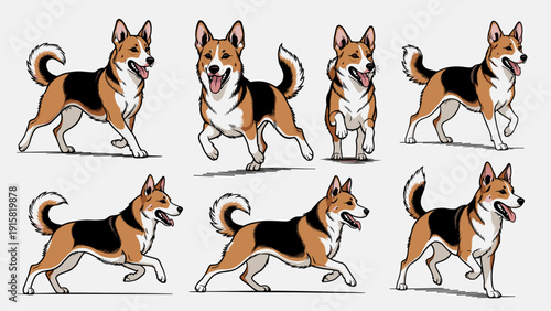 Vector Illustration Set of Happy Tricolor Corgi Dog Running in Various Poses, Animation Sprite Sheet of Cute Pet Walking and Trotting Isolated on White Background.