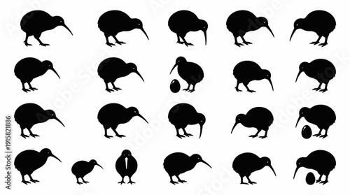 Set of kiwi bird silhouette vector collection. Black shapes of New Zealand flightless animal in various poses, walking, pecking and standing isolated on white background.