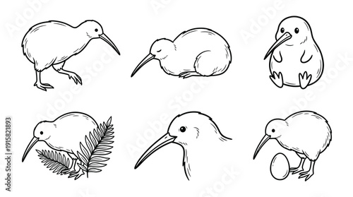 Hand Drawn Kiwi Bird Vector Illustrations. Sketch Style New Zealand Animal Set. Cute Flightless Bird Doodles for Nature, Wildlife, and Education Design Projects.