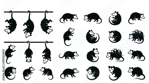 Opossum Silhouette Vector Set. Black animal shapes collection in different poses. Hanging, walking and sleeping marsupial icons isolated on white background.
