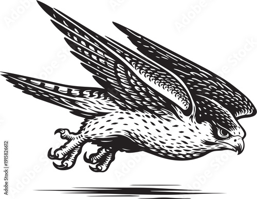 Bald Eagle Sky Diving Attack Powerful Bird of Prey Illustration for Emblem Logo Design