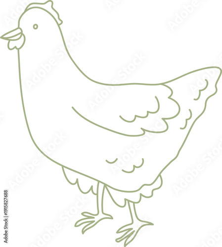 Chicken Standing Outline