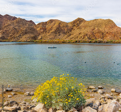 Kayaker Paddling on The Colorado River at Willow Beach Marina, Lake Mead National Recreation Area, Arizona, USA