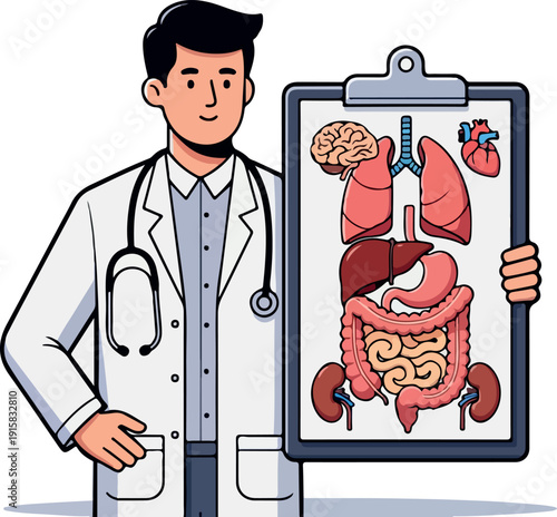 Doctor Holding Clipboard with Human Internal Organs Diagram
