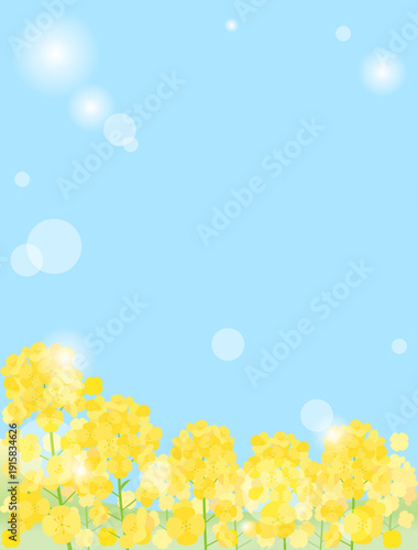 青空と日差しと菜の花畑を組み合わせた背景のイラスト　アスペクト比1：1バージョン