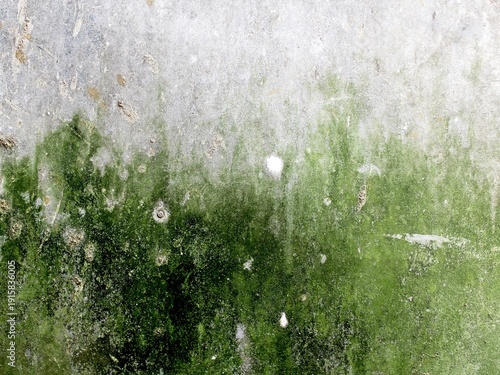 Old walls covered in moss look very artistic as a background.