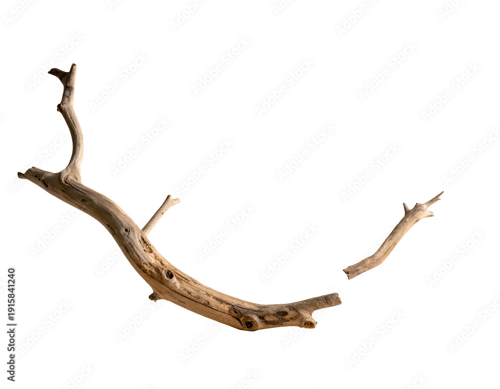 Fototapeta premium Gnarled weathered wood branch on black background