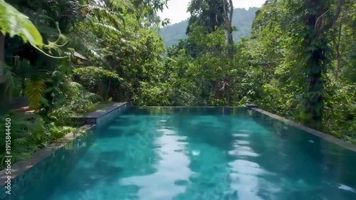 Tropical Oasis - Serene Swimming Pool Surrounded by Lush Green Jungle Foliage.